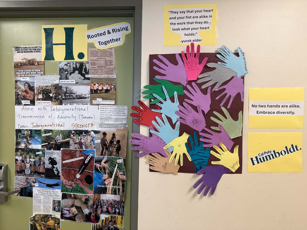 Child Development Door Contest Entry