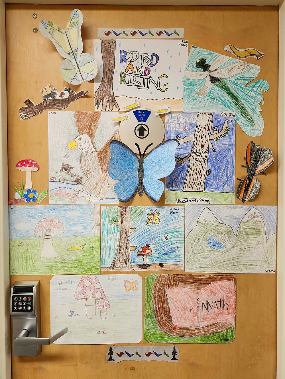 Curriculum Door Contest Entry