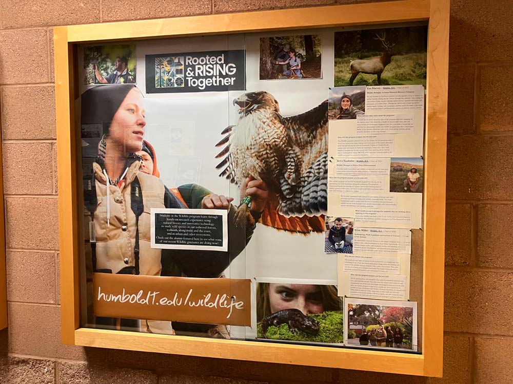 Wildlife Door Contest Entry