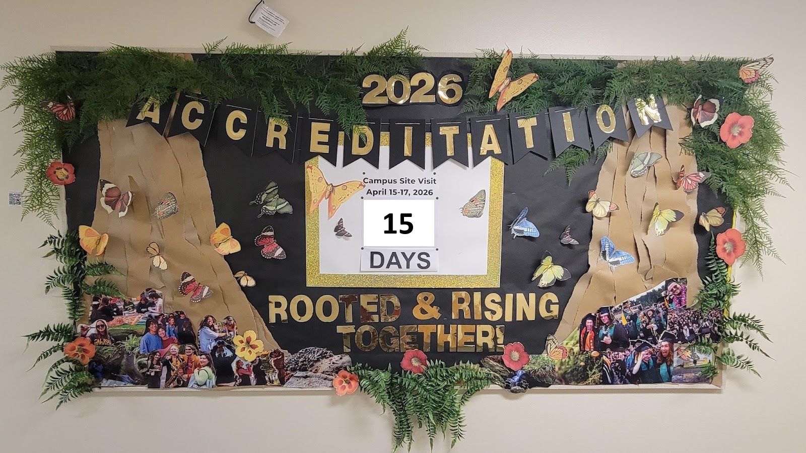 Accreditation Door Contest Entry