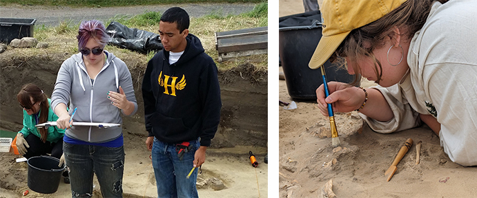 Archaeology excavation