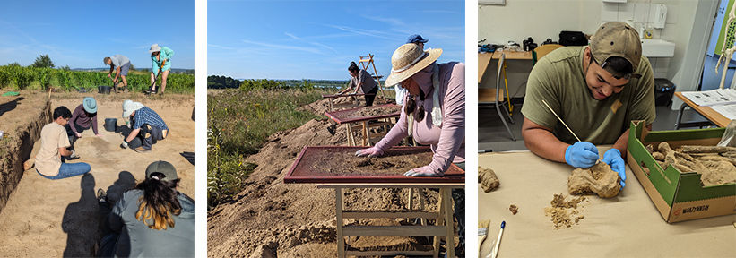People at an archaeological excavation