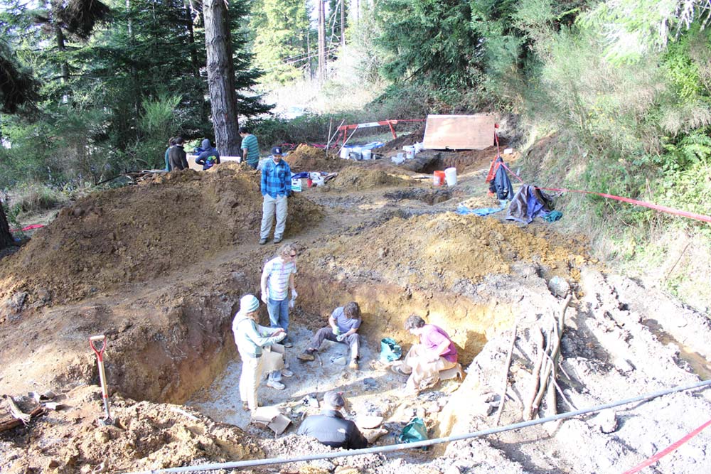 Archaeological excavation