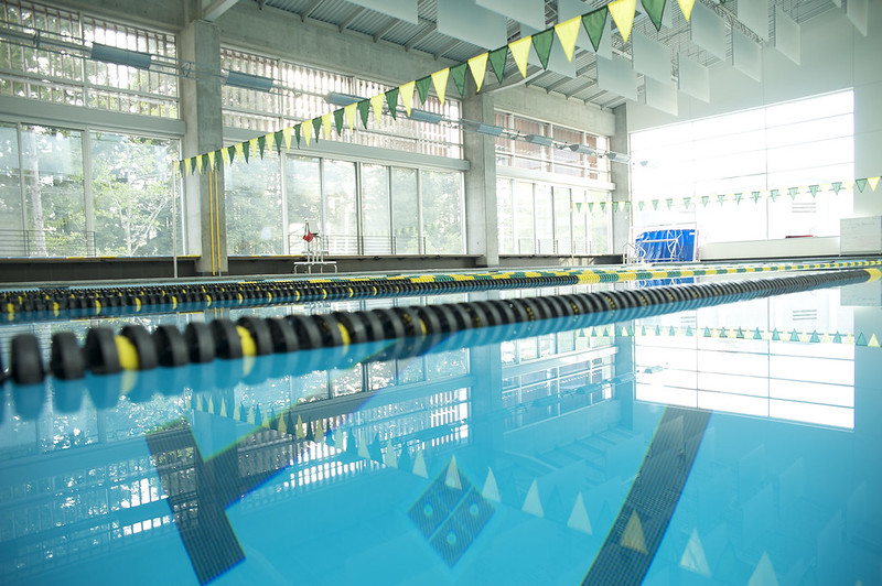 shot of the pool and windows