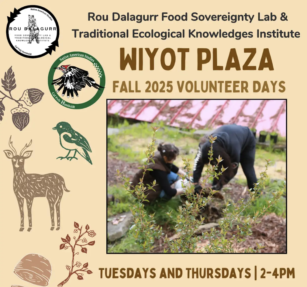 volunteer flyer
