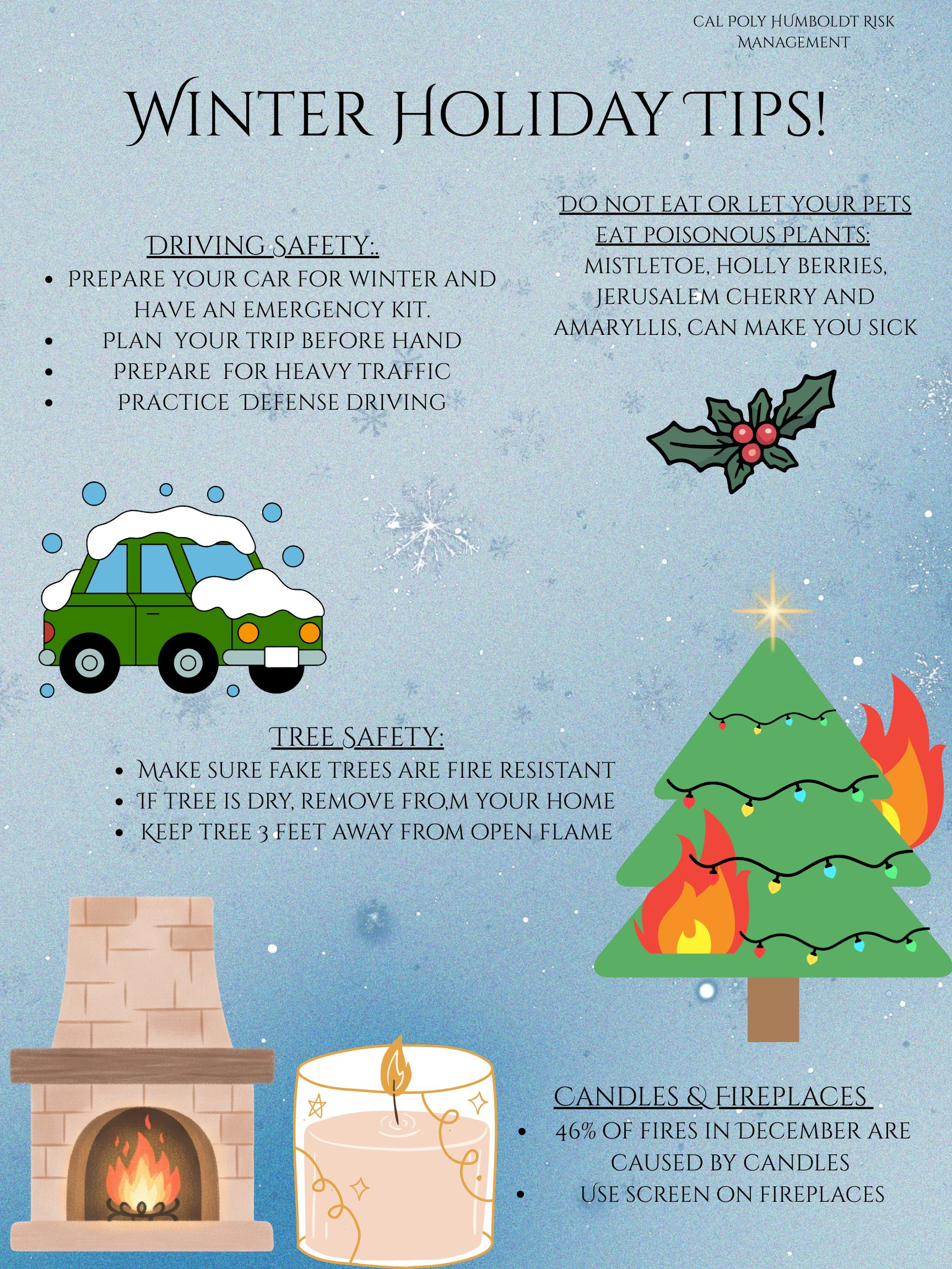 Winter Holiday Tips