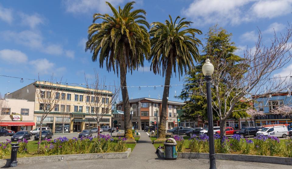Photo of the Arcata plaza