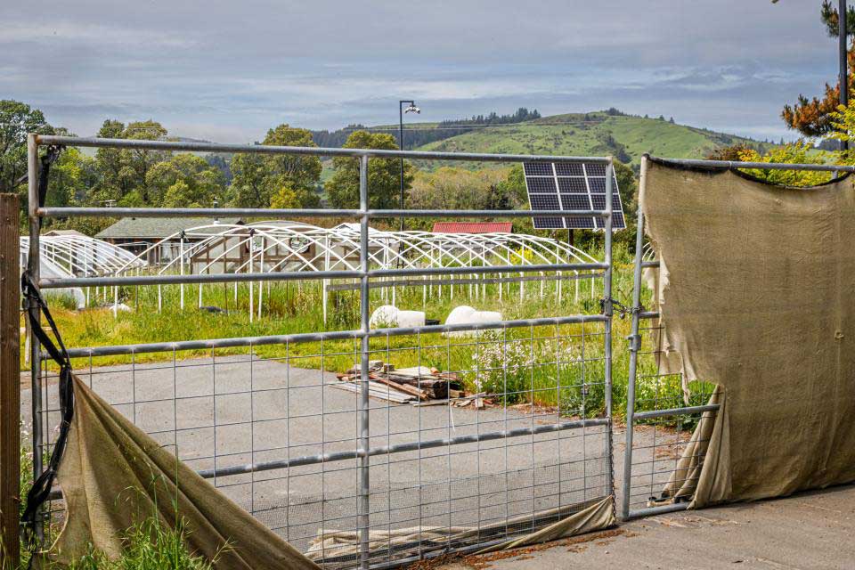 Looking through gate at abandoned grow area