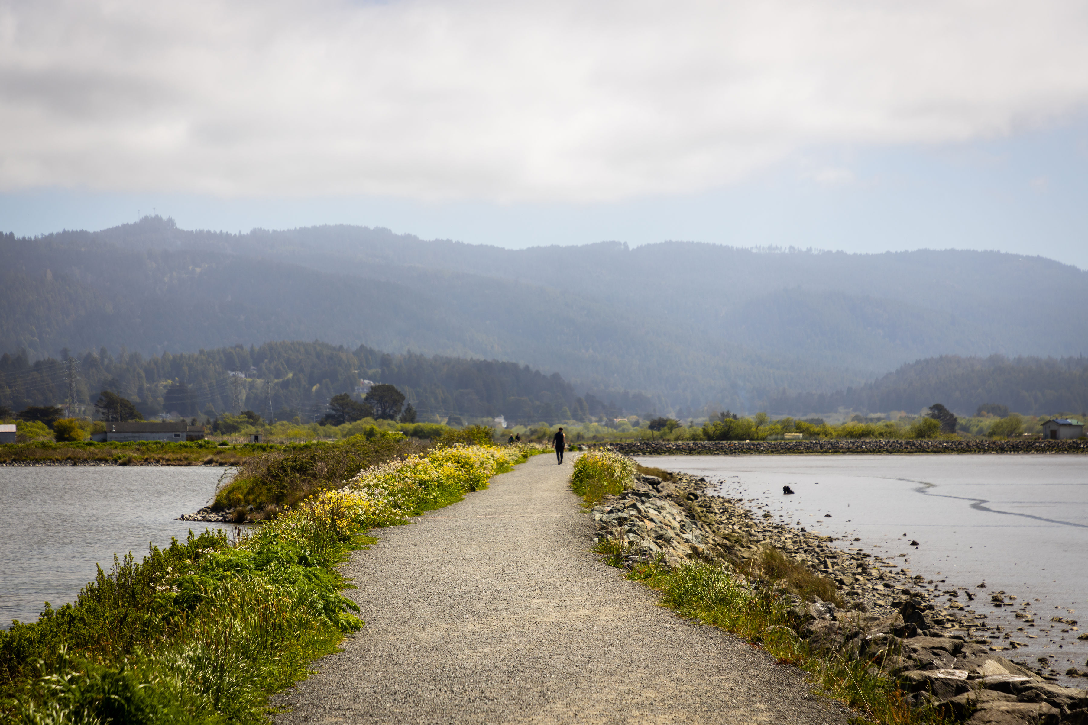 Redwood Region RISE - Outside Arts_ Light and Dark