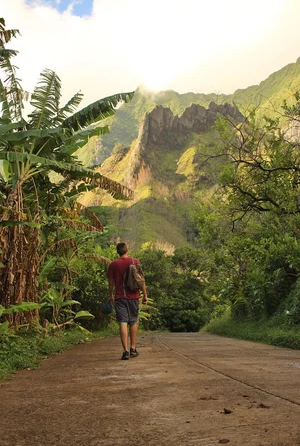 A student walks along a dirt road towards a lush mountain.