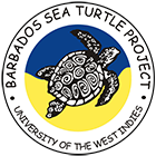 Logo for the Barbados Sea turtle project, University of the West Indies