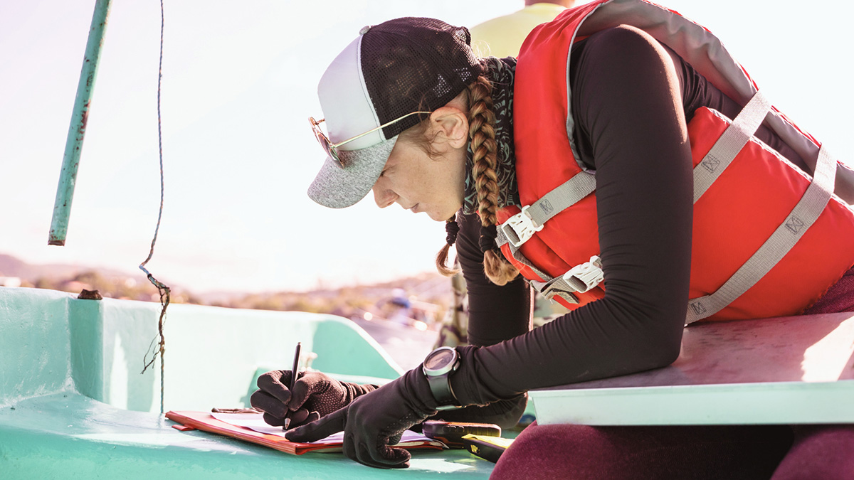 A marine biologist takes notes, leaning over her lap to gaze into a tub of seawater.