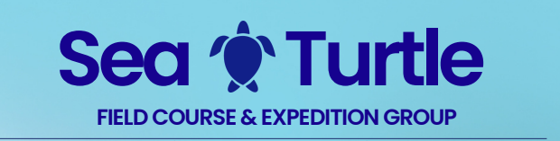 Seat turrtle logo