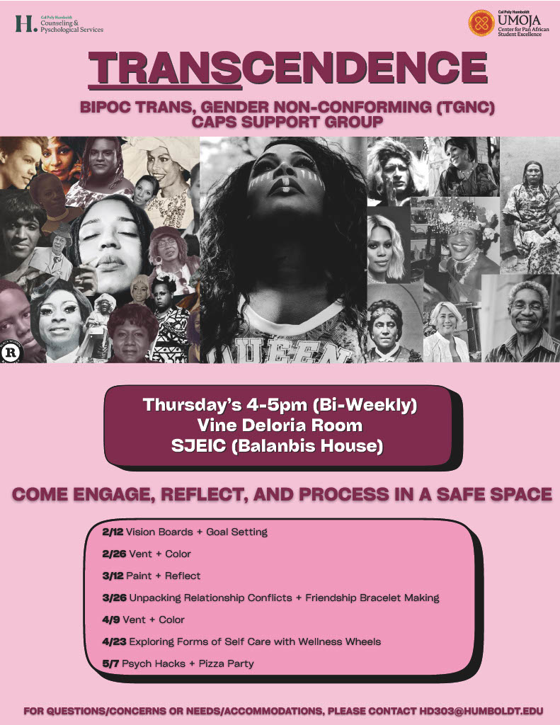 poster for Transcendence Group