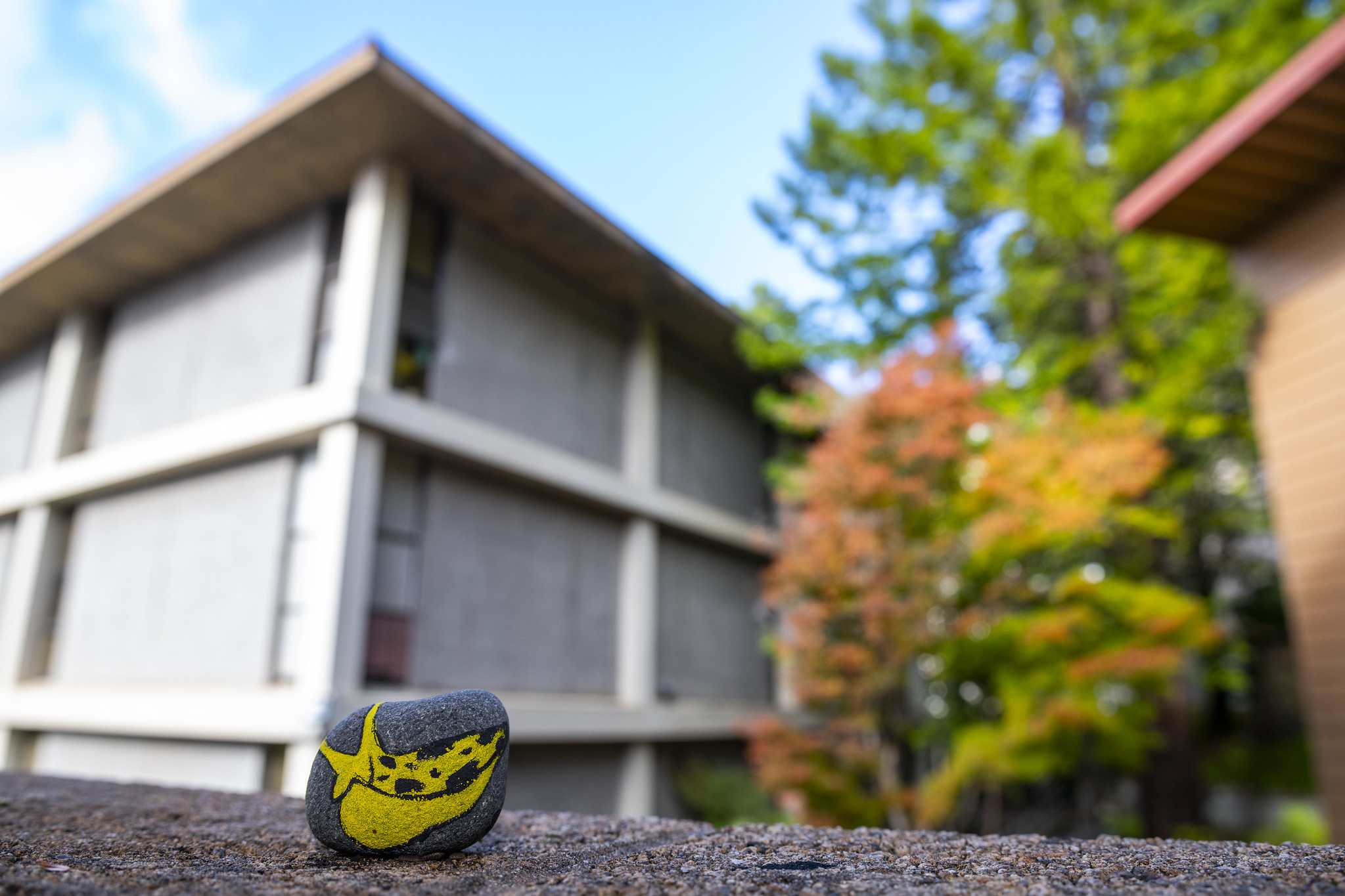 Closeup of Rock with painted banana slug