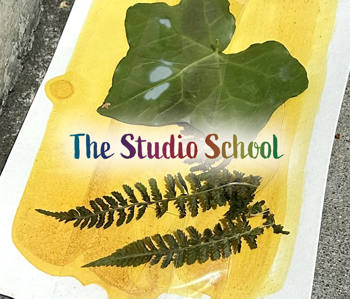 studio-school-scientific-art-cta.jpg