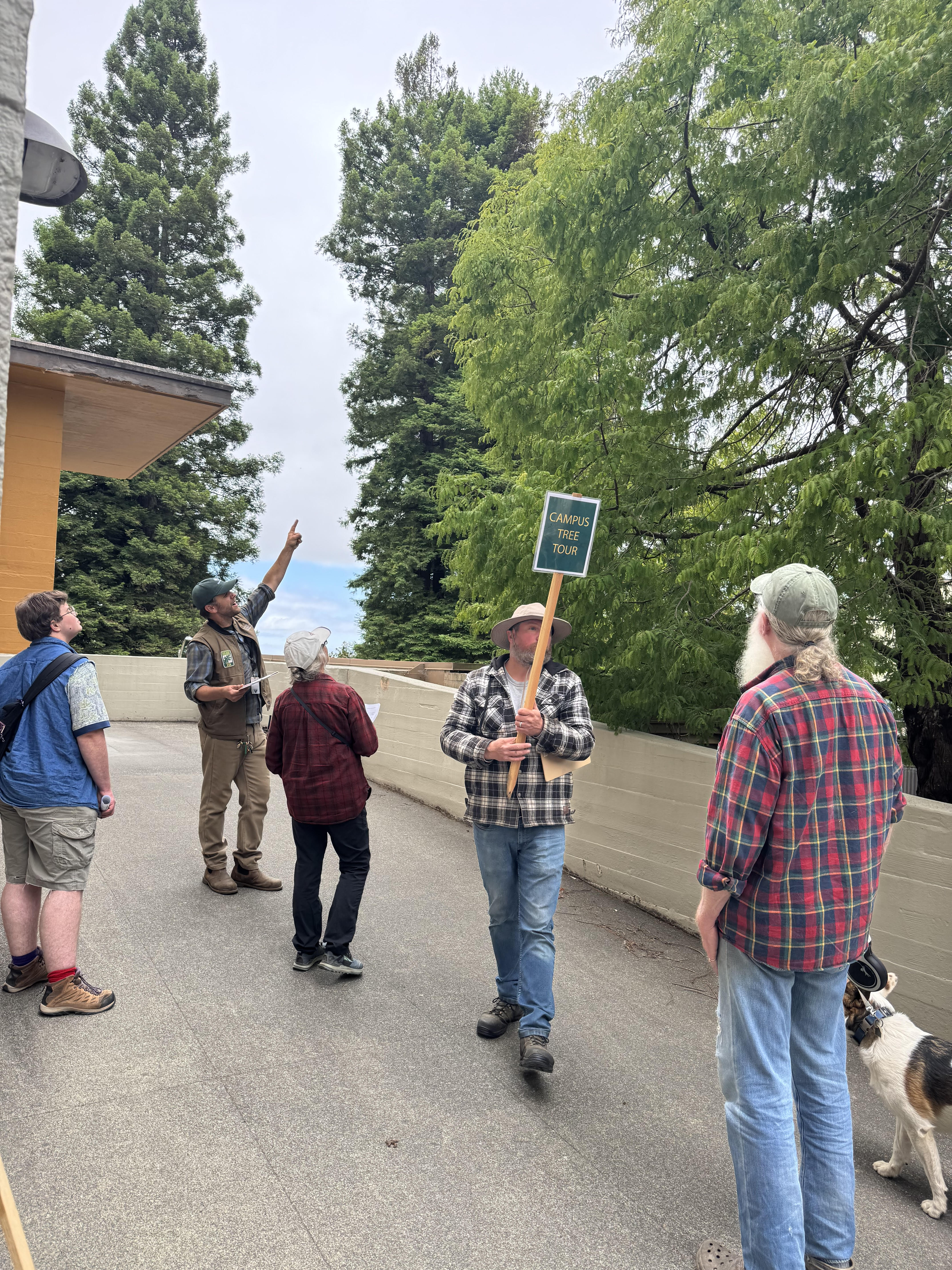 Spring 2025 Campus tree tour pic