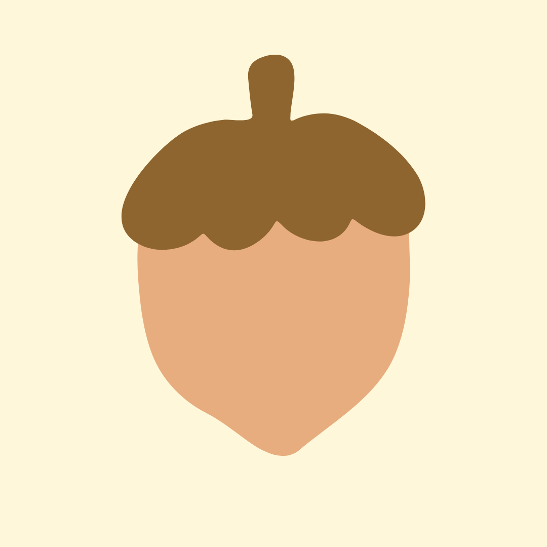 Acorn illustration