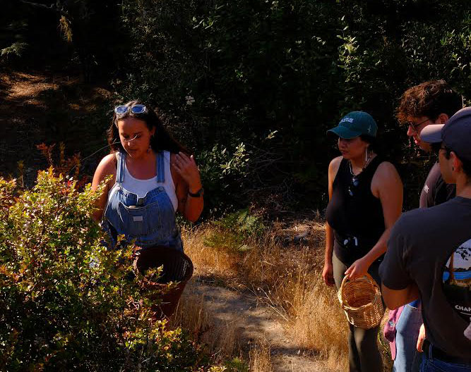 Students in the field