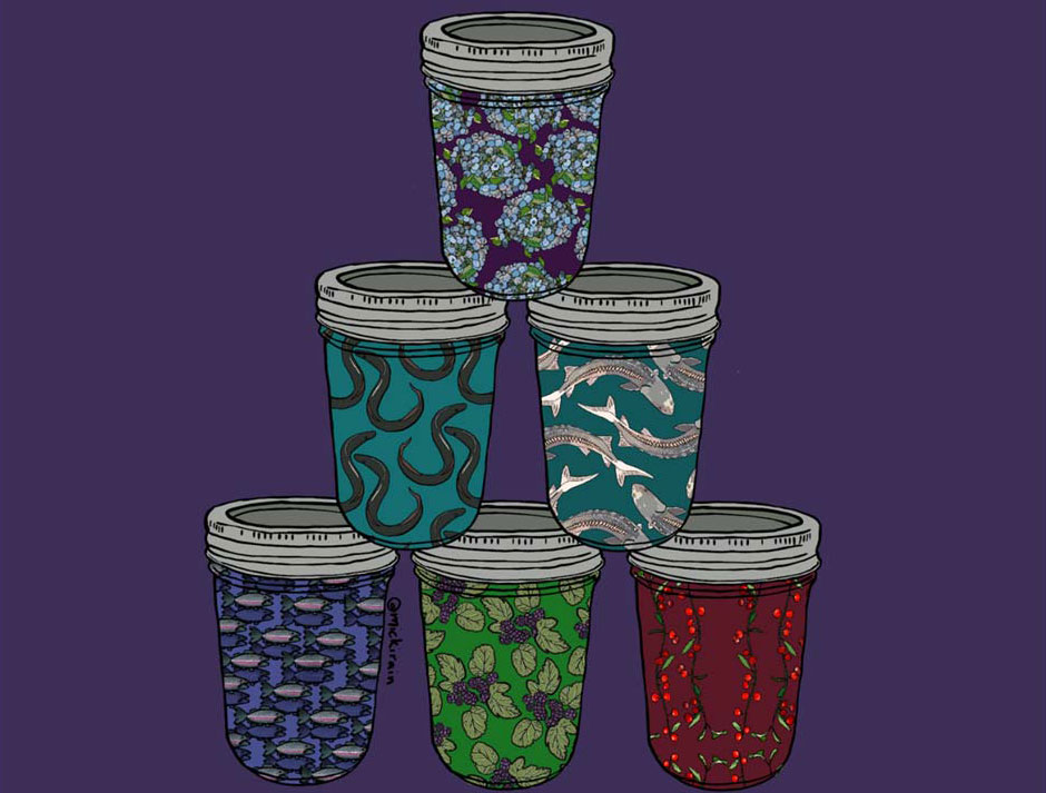 Illustrated jars of indigenous foods