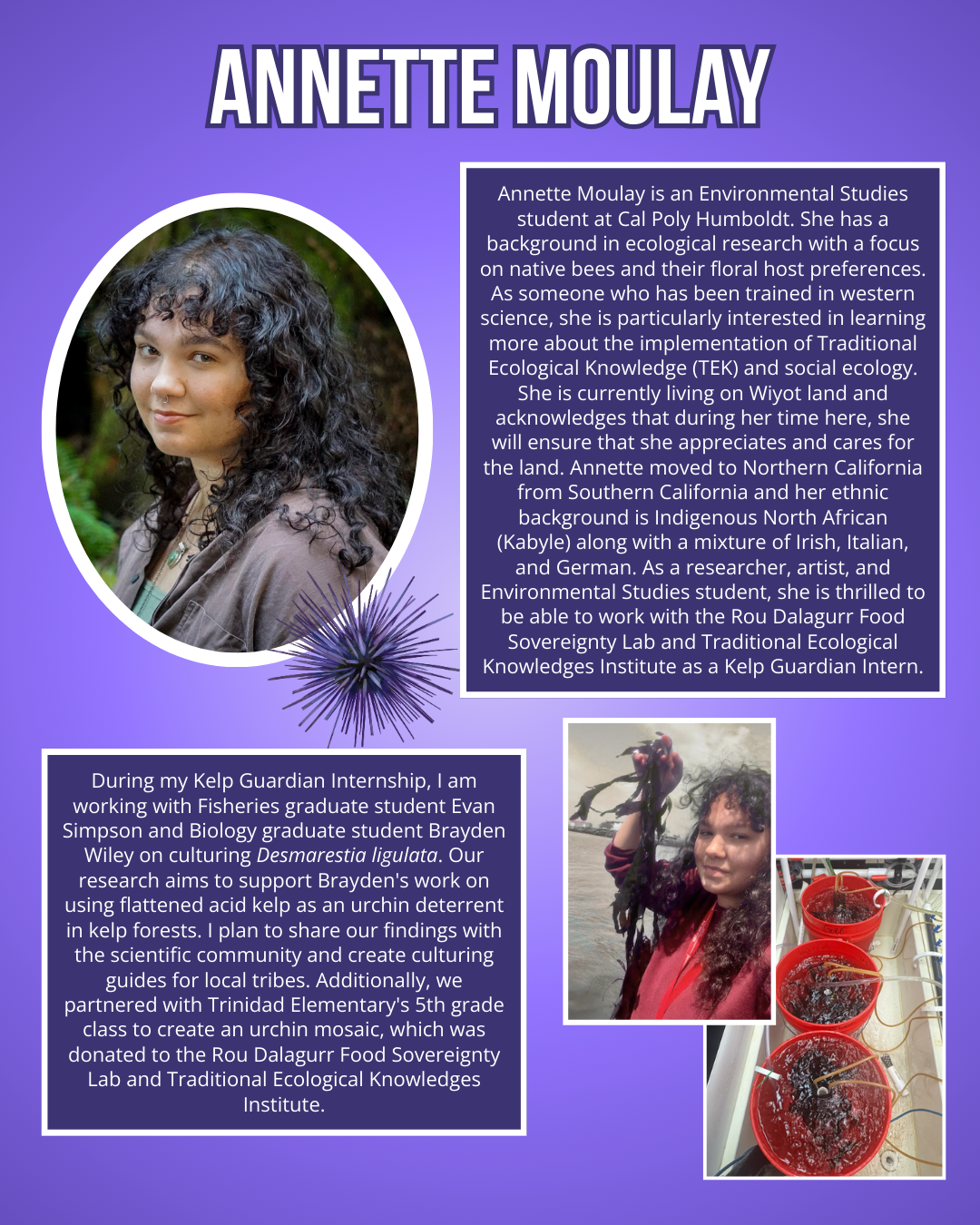 Annette Moulay flyer (All text below) with 2 images of Annette (one just a headshot, one with her holding Kelp) and one of Kelp processing.