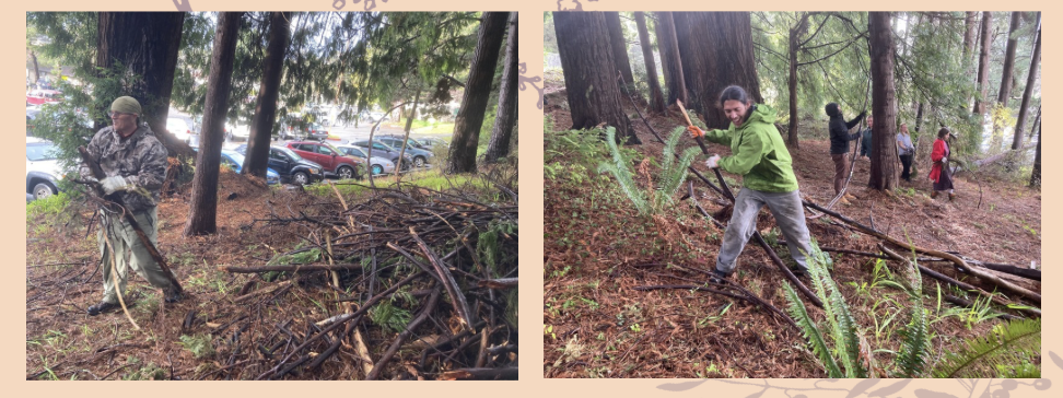2 Images of Dr. Daniel Lipe and students clearing debris from FSL gardens.