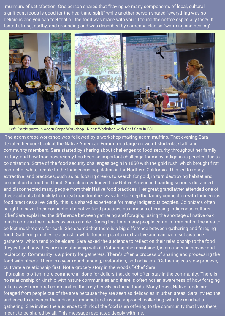 Article Part 2 of Chef Sara (Article text below images)