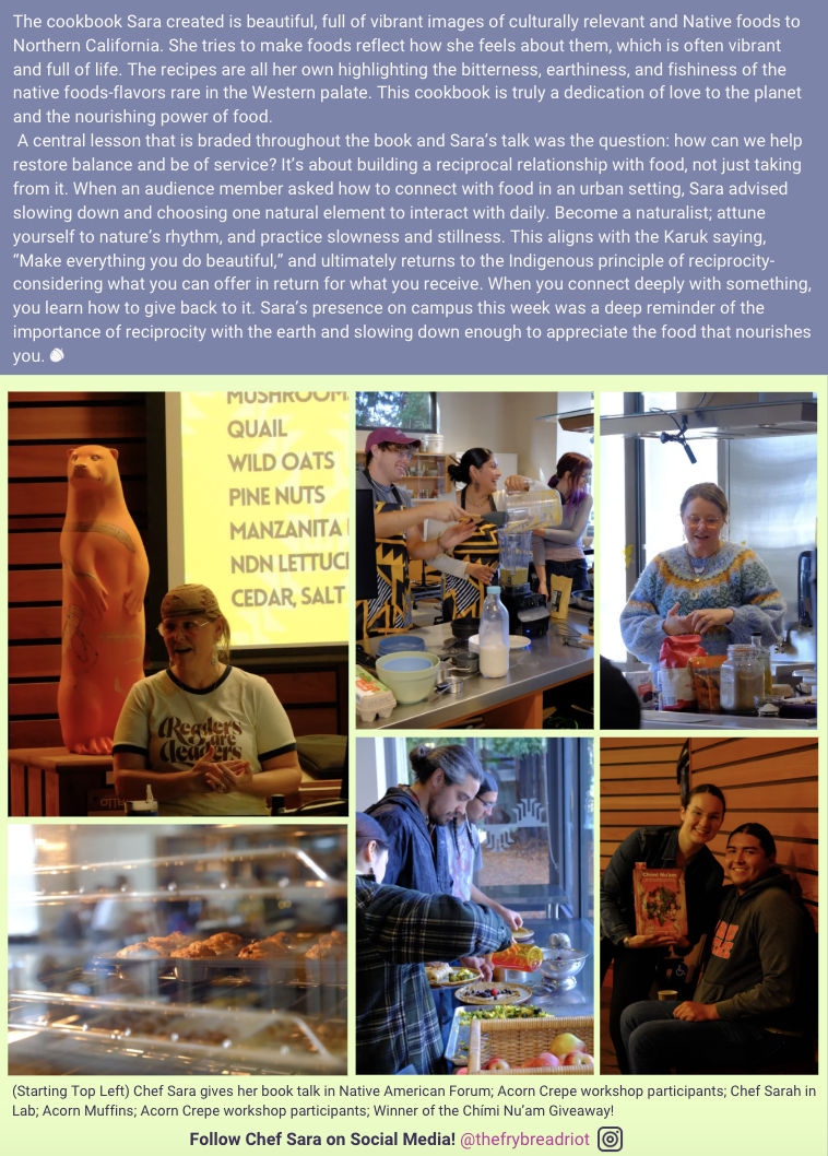 Article Part 3 of Chef Sara (Article text below).