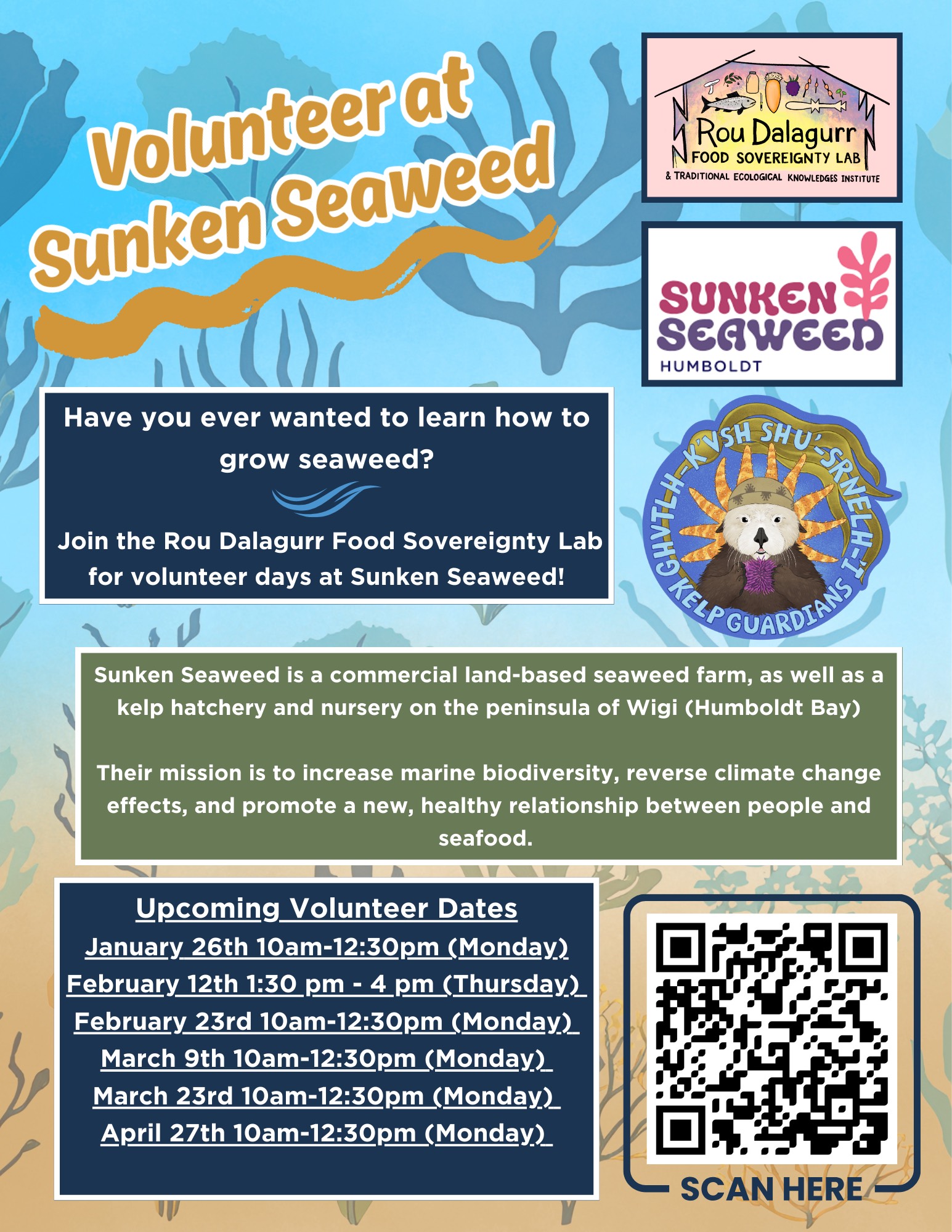 Flyer for the Spring 2026 Sunken Seaweed Volunteer Days. Background is various illustrated sea kelp/seaweed. 3 Logos: 1. the FSL Artwork logo 2. Sunken Seaweed Humboldt logo 3. Kelp Guardian Sticker (image of a sea otter with a woven Native cap, holding a sea urchin with kelp around the otter). All information on flyer is below.