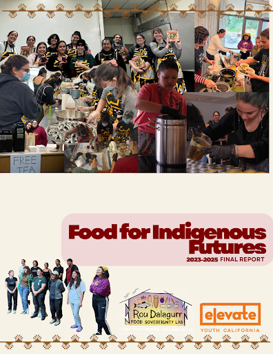 Image of FIF Final Report Cover. Top Image is a collage of multiple events such as jam making. Bottom is the title "Food for Indigenous Futures 2023-2025 Final Report" and some logos.