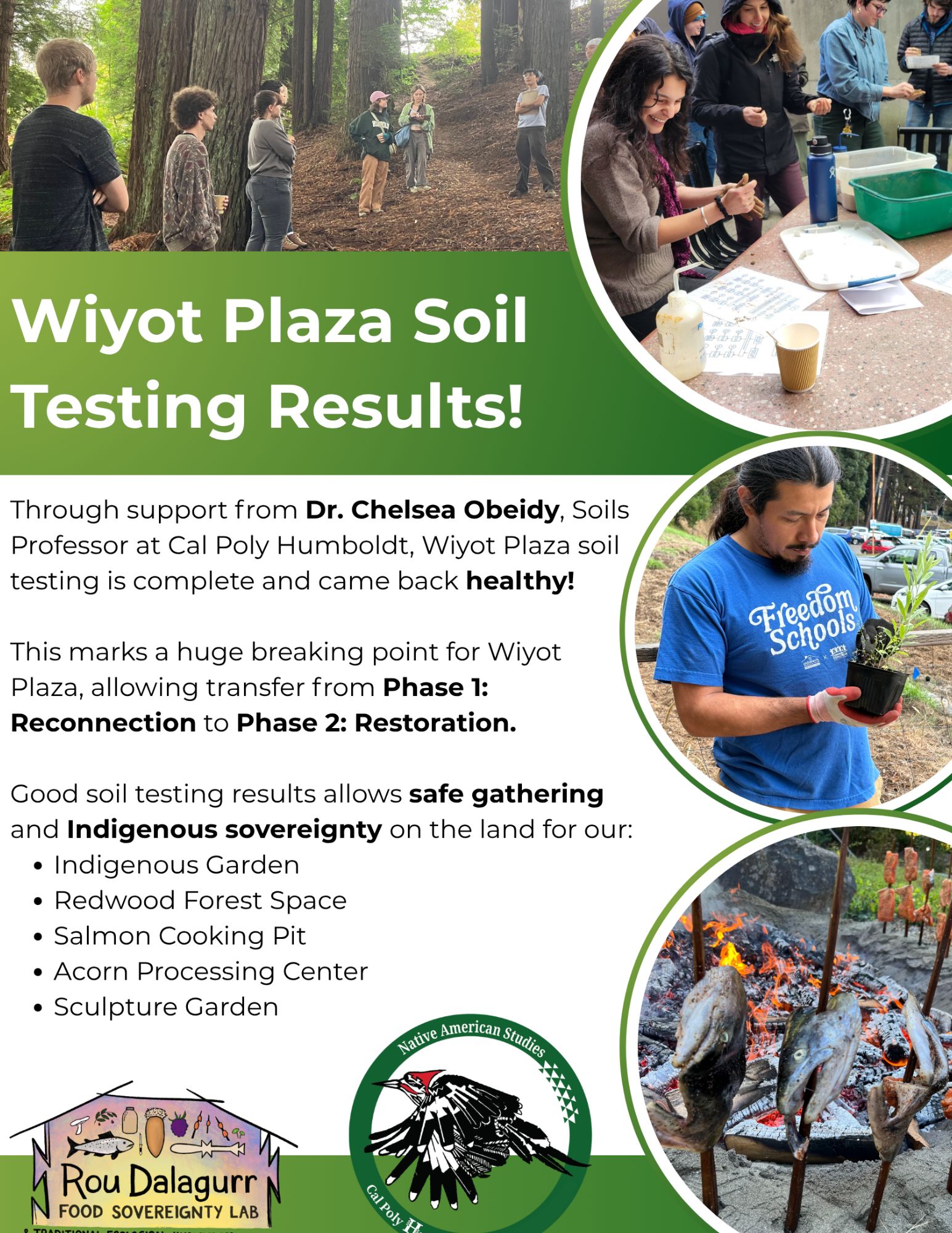 Flyer showing the Wiyot Plaza Soil Testing Results