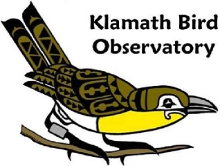 Klamath Bird Observatory logo, text with bird graphic