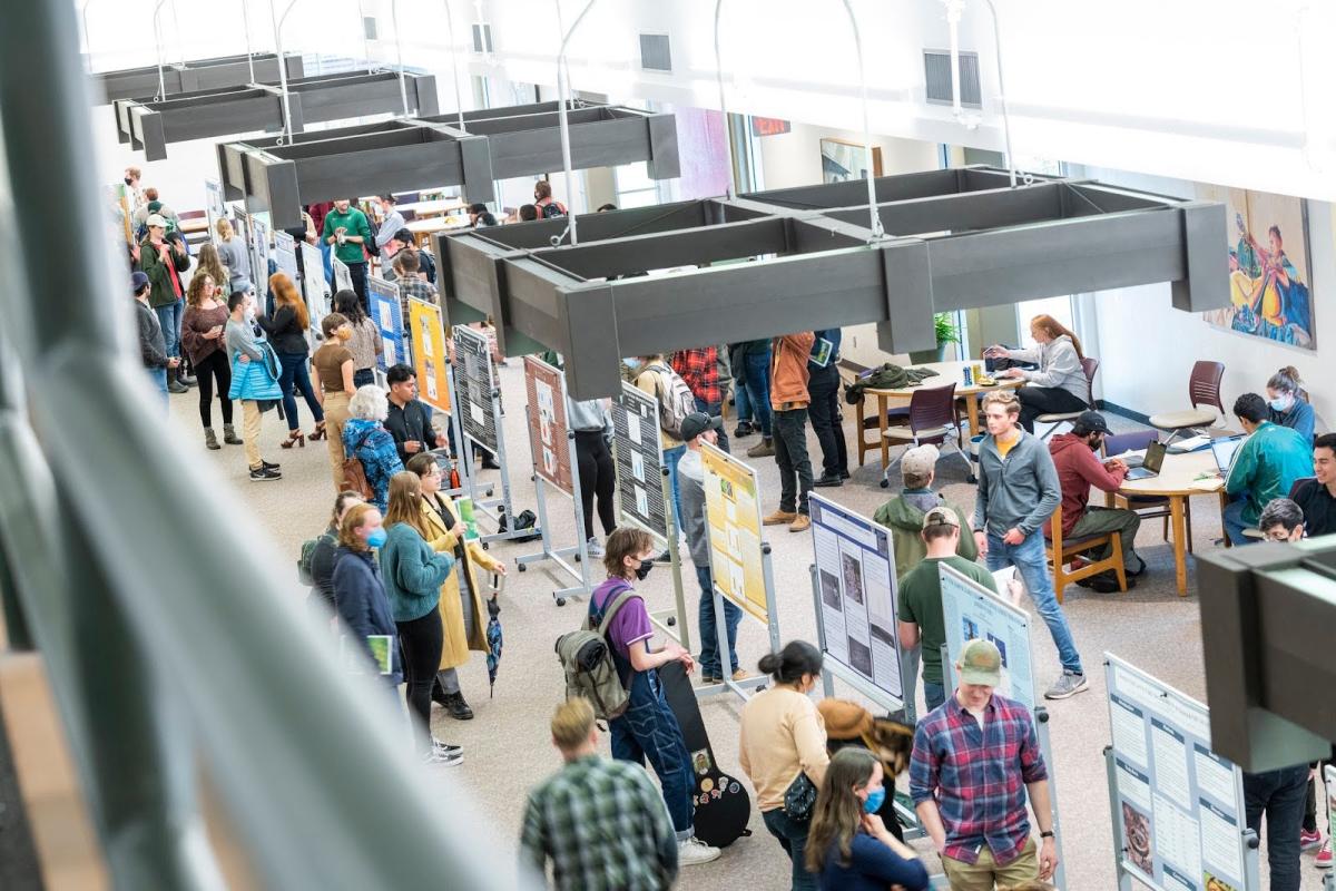 People looking at posters