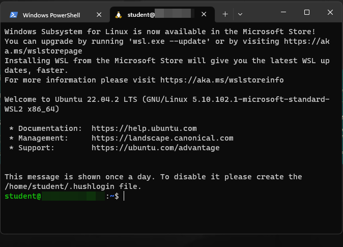 Windows Terminal window with the Ubuntu WSL tab opened.