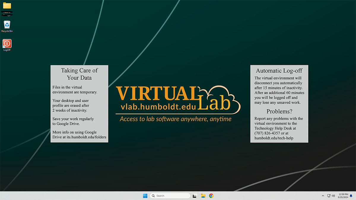 screenshot of the virtual lab desktop