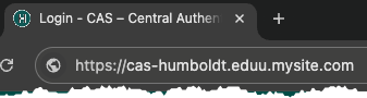 suspicious site