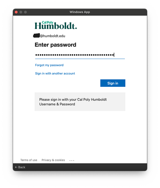 Microsoft password screen