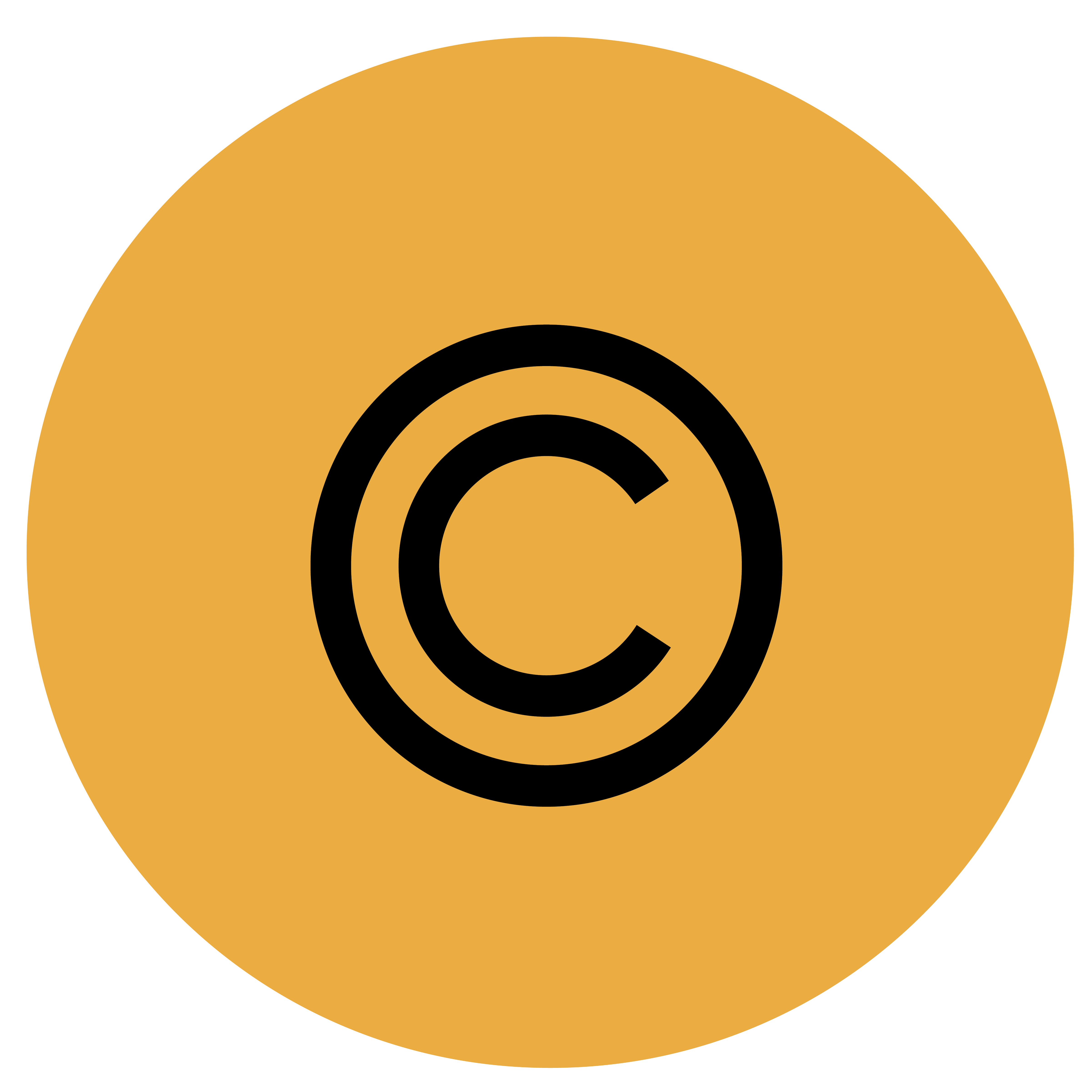 Copyright & Fair Use