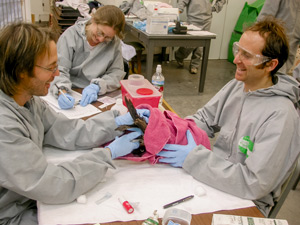 people cleaning bird