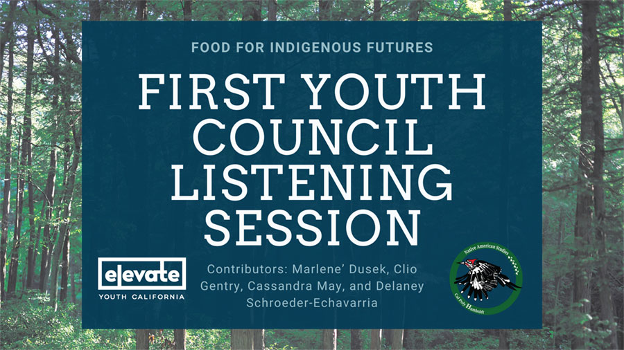 First Youth Council Listening Session