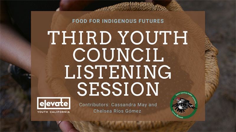 Third Youth Council Listening Session