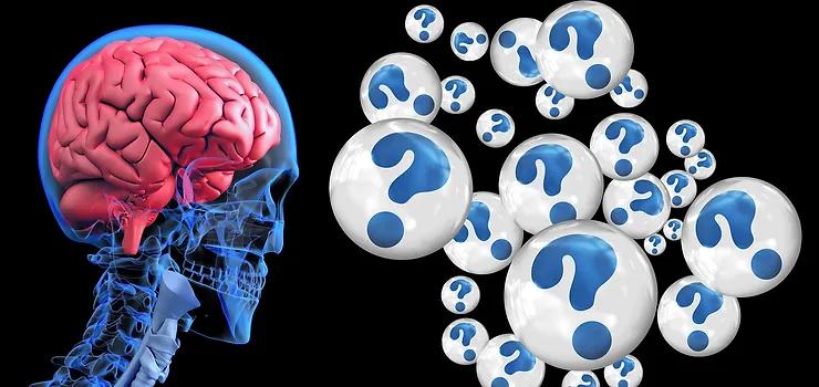 A blue skeleton with a red brain and a group of white bubbles with question marks
