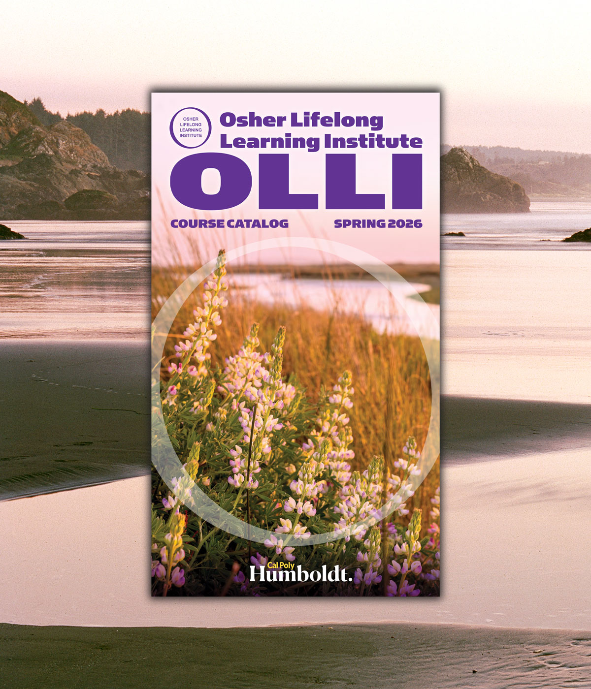 Cover of Spring 2026 OLLI Catalog