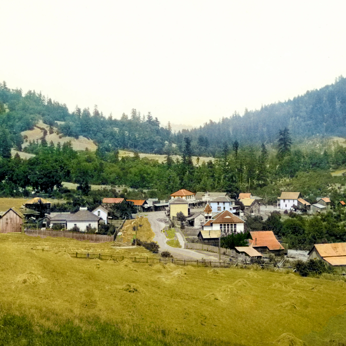 southern-humboldt.jpg