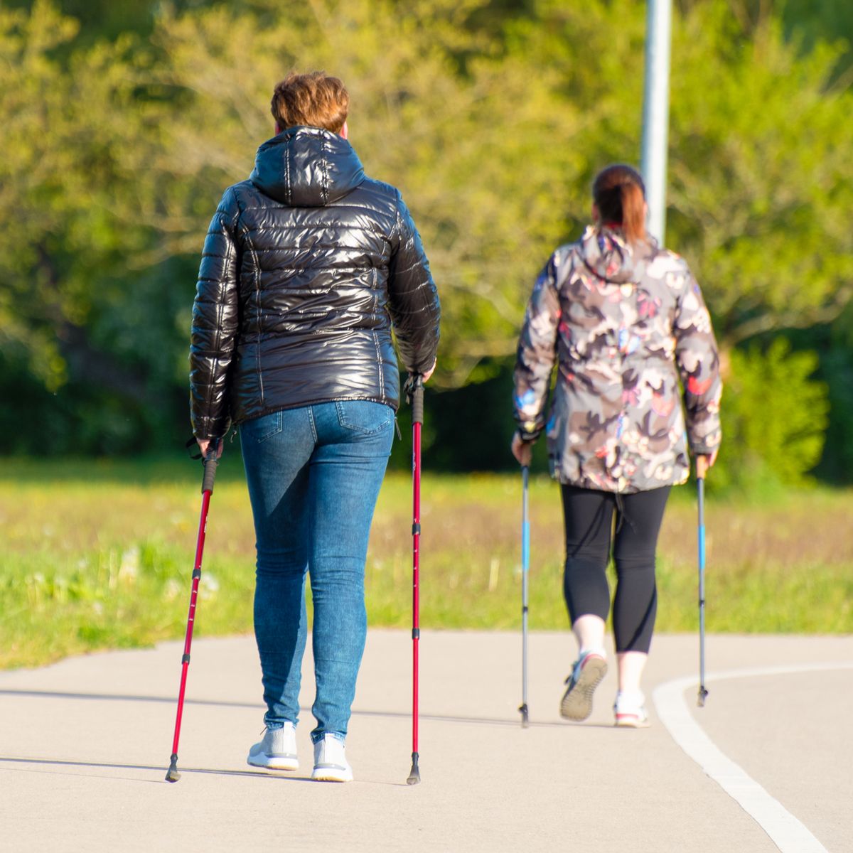 walking-sticks.jpg