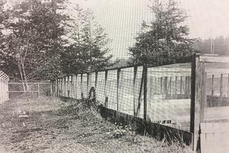 Original Wildlife Game Pens located behind Nelso
