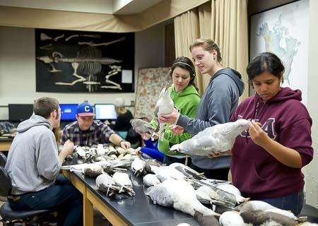 Ornithology Class