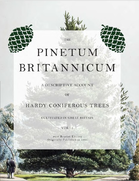 pinetum britanicum