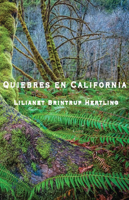 quiebres en California book