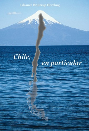 Chile en Particular Book